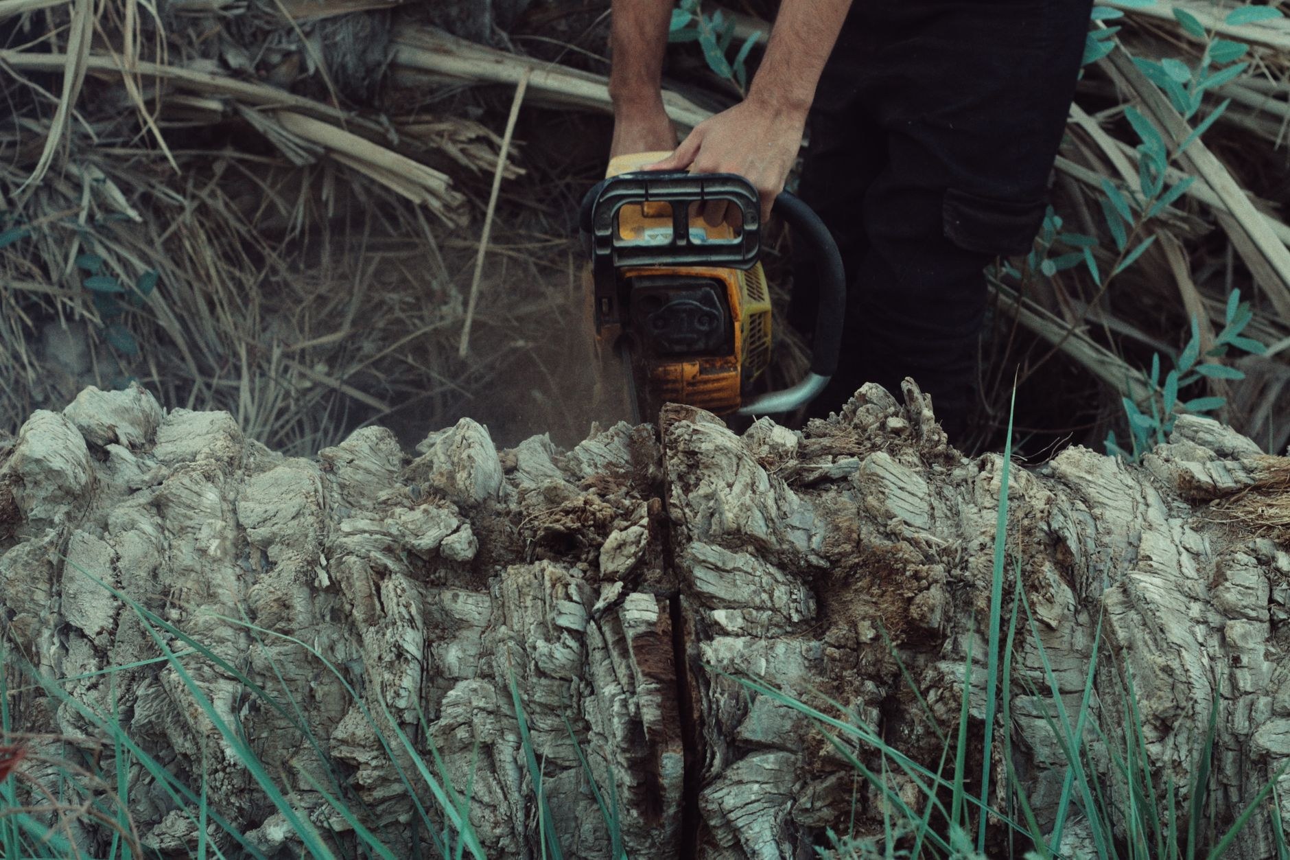 Stump Grinding and Chipping